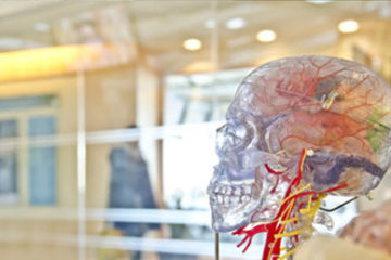 Brain Injuries
